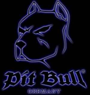 pit bull